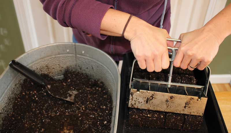 A woman is seeding in soil blocks