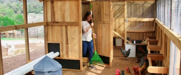 Chicken Keeping, Coast to Coast: Inspiring Backyard Setups from Across the U.S.