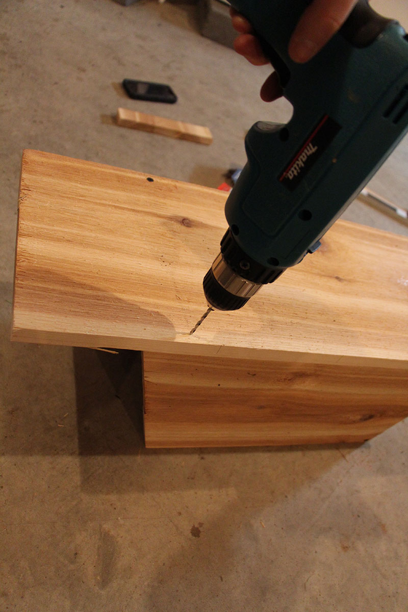 making an eastern screeech owl nest box