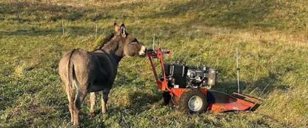 Slow & Steady Makes The Little Dream Farm Prosper