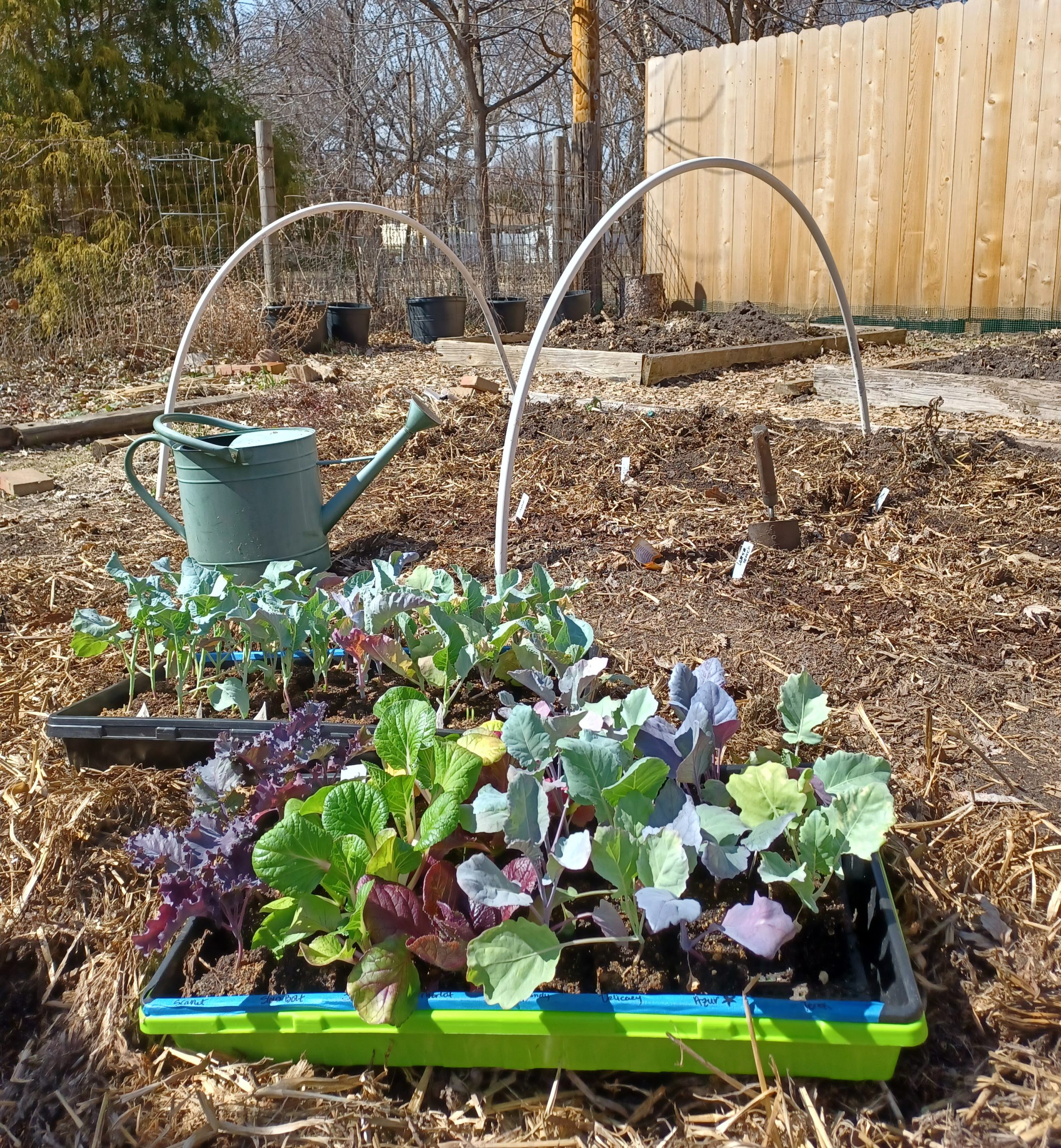 low tunnels make harvests earlier in spring and later in fall