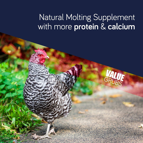 Value Grubs | Black Solider Fly Larvae Treats for Birds Hens Ducks Reptiles (4 lb) -  Non-GMO - 75X More Calcium Than Meal Worms