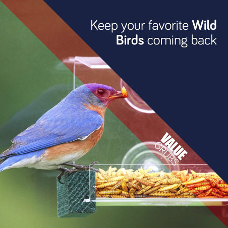 Value Grubs | Black Solider Fly Larvae Treats for Birds Hens Ducks Reptiles (4 lb) -  Non-GMO - 75X More Calcium Than Meal Worms