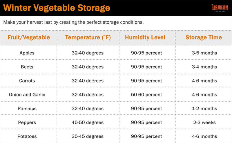winter vegetable storage root cellar basement