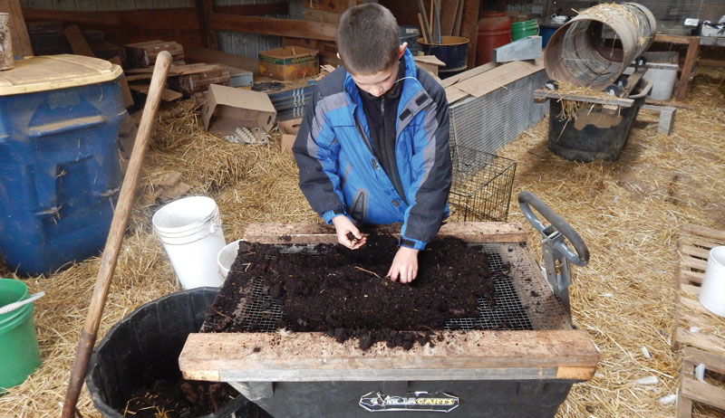 an example of a worm compost bin