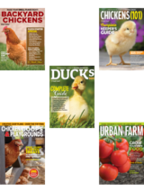 chicks combo offer 5-in-1: chicken coops and playgrounds, chickens 101, ducks 101, backyard chickens and urban farm