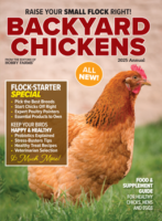 backyard chickens print