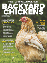 backyard chickens print