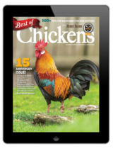 2025 ducks 101 annual today