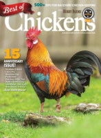 best of chickens magazine 15th anniversary special