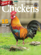best of chickens magazine 15th anniversary special