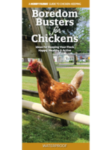 bordedom busters for chickens guide