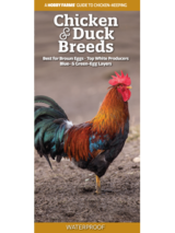 chicken and duck breeds print