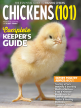 2025 ducks 101 annual today