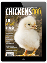 purchase the 2021 ducks 101 annual today