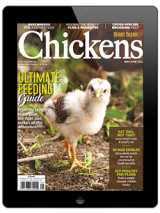 Early Renewal Offer – Chickens Magazine Print Subscription