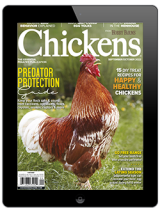 Chickens Print Magazine Subscription