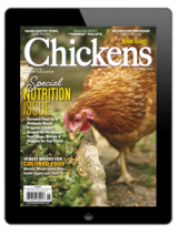 chickens-may/june 2023 digital