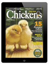 order the 2024 chicken coops & playgrounds