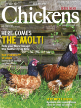 chickens- sept/oct 2023