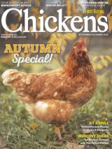 chickens- nov/dec 2023