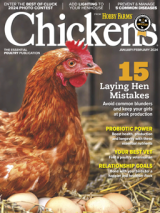 chickens- jan/feb 2024