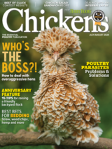 chickens- jul/aug 2024