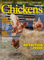 chickens- may/jun 2025
