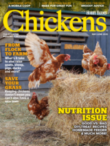 chickens- may/jun 2025