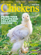 chickens magazine combo Jul/Aug 2025