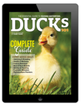 2025 ducks 101 annual today