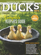 2024 chicken coops & playgrounds