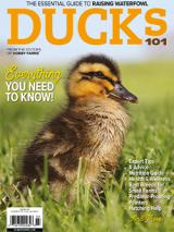 purchase the 2022 ducks 101 annual today