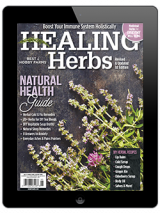 healing herbs annual digital is now available