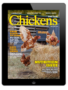 chickens- may/jun 2025